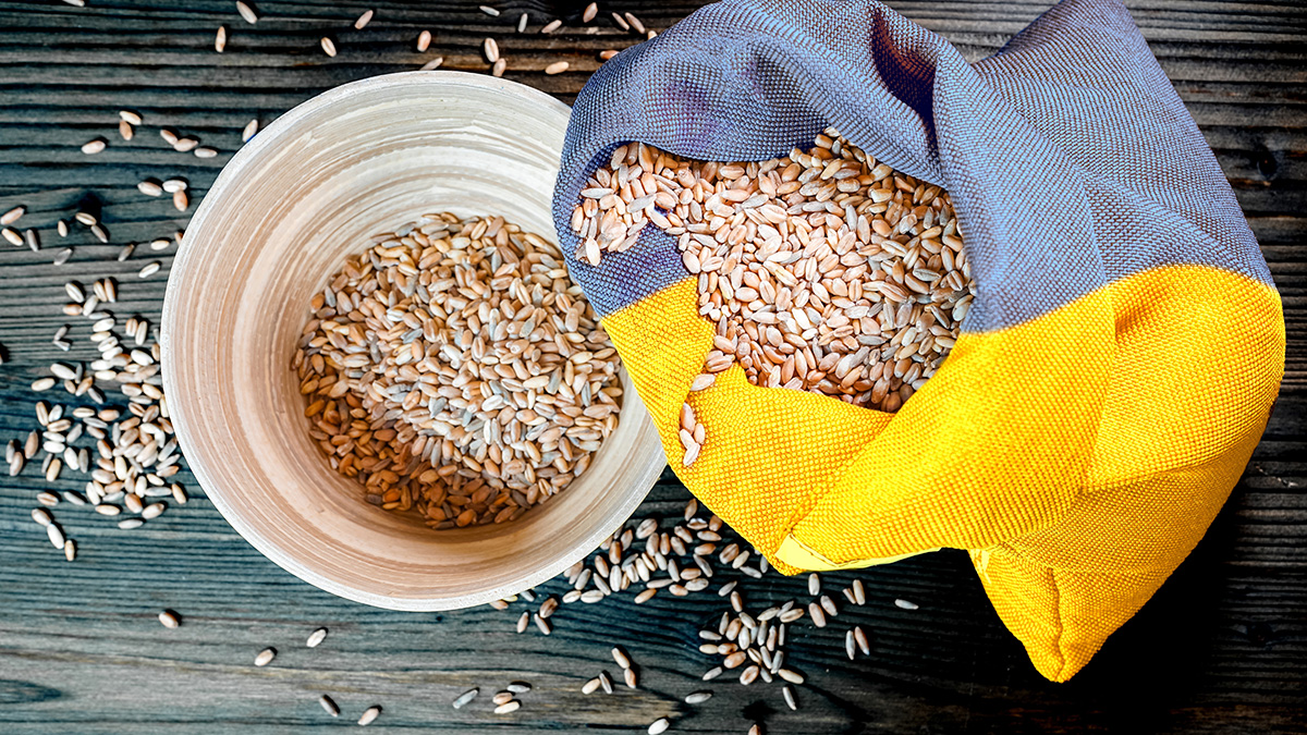 Wheat grains with in jute bag overlay of yellow and blue flag of Ukraine grain crisis, global crisis concept due to war.