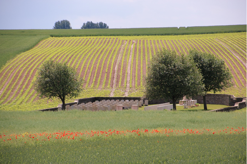 Cemetary next to a field with red poppies