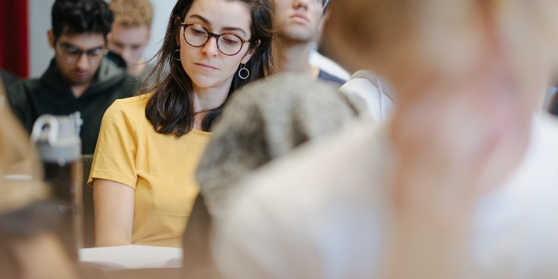 Peer effects in education